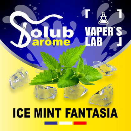 Фото, Відеоогляди на Ароматизатори для рідини вейпів Solub Arome "Ice mint fantasia" (М'ята ментол та кулер) 