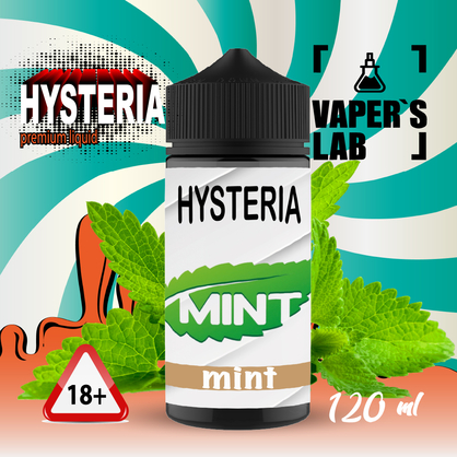 Фото жижа для вейпа до 100 грн hysteria mint 100 ml