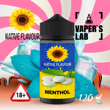 Купить жидкость для электронных сигарет Native Flavour Menthol 120 ml