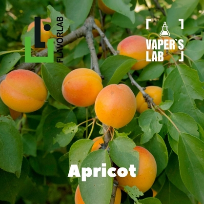 Фото на Ароматизаторы для вейпа Flavor Lab Apricot 10 мл