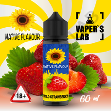 Заправка для вейпа з нікотином Native Flavour Wild Strawberry 60 ml