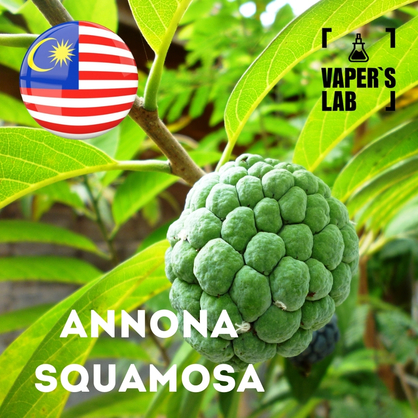 Фото на Ароматизатор для вейпа Malaysia flavors Annona squamosa