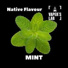 Ароматизатори для вейпа Native Flavour "Mint" 30мл