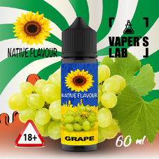  Native Flavour Grape 60