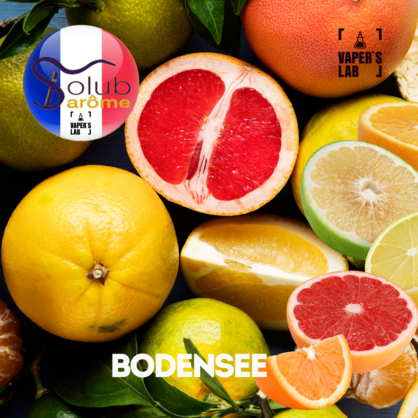 Фото, Видео, Премиум ароматизаторы для электронных сигарет Solub Arome "Bodensee" (Цитрусовые и экзотические фрукты) 
