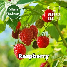  Xi'an Taima "Raspberry" (Малина)