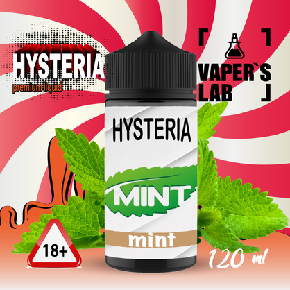 Фото жижа для вейпа до 100 грн hysteria mint 100 ml