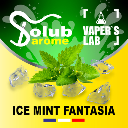 Фото, Відеоогляди на Ароматизатори для рідини вейпів Solub Arome "Ice mint fantasia" (М'ята ментол та кулер) 