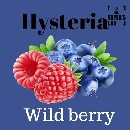 Фото, Видео на жижки Hysteria Wild berry 100 ml