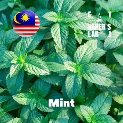 Фото на Ароматизаторы для вейпа Malaysia flavors Mint