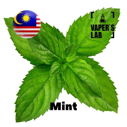 Фото на Ароматизаторы для вейпа Malaysia flavors Mint