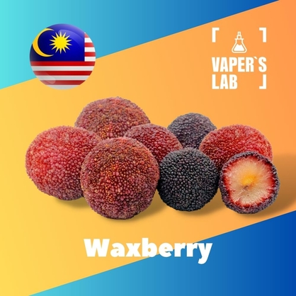 Фото, Відеоогляди на Аромки для вейпа Malaysia flavors Waxberry