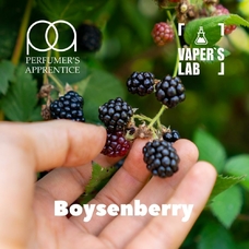 Ароматизатори для вейпа TPA "Boysenberry" (Бойзенова ягода)