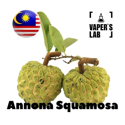 Фото на Ароматизатор для вейпа Malaysia flavors Annona squamosa