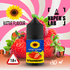  Native Flavour Salt Strawberry 30