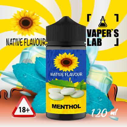 Фото купить жидкость для электронных сигарет native flavour menthol 120 ml
