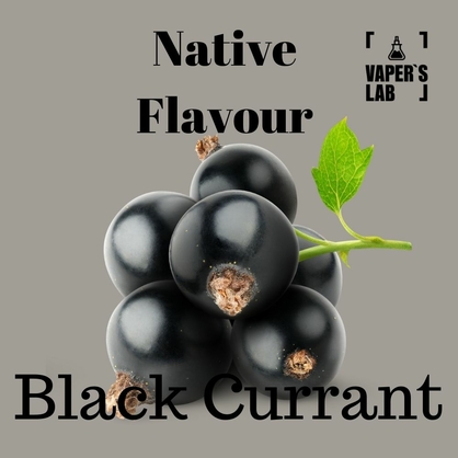 Фото, Відео на Заправки до вейпа Native Flavour Black Currant 100 ml