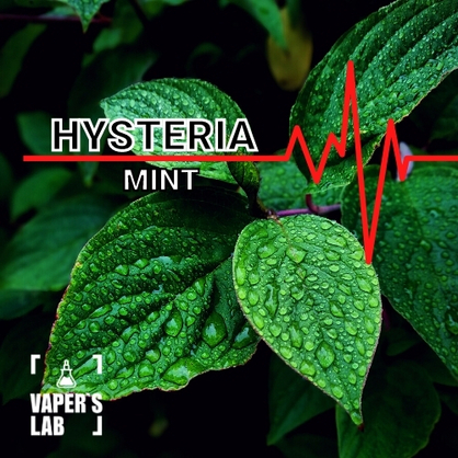 Фото, Видео на жижи для вейпа Hysteria Mint 30 ml