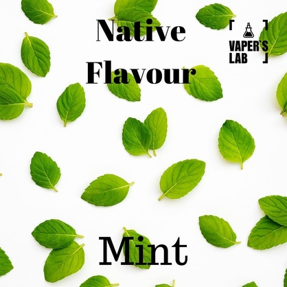 Фото жидкость для вейпа без никотина native flavour mint 120 ml