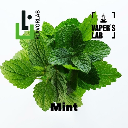 Фото на Аромки  для вейпа Flavor Lab Mint 10 мл