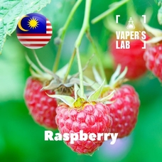 Харчовий ароматизатор для вейпа Malaysia flavors Raspberry