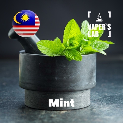 Фото на Ароматизаторы для вейпа Malaysia flavors Mint