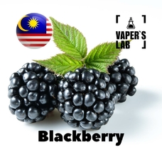 Ароматизаторы для солевого никотина   Malaysia flavors Blackberry