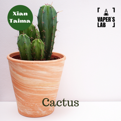 Фото, Відеоогляди на Арома для самозамісу Xi'an Taima "Cactus" (Кактус) 