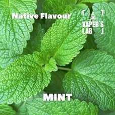 Ароматизатор для самозамеса Native Flavour Mint 30мл