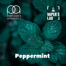 Аромки для вейпів TPA "Peppermint" (Насичена м'ята)