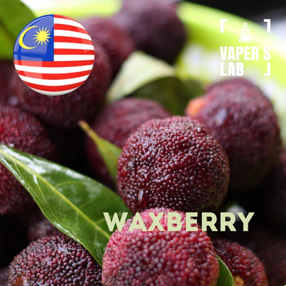 Фото на Ароматизаторы для вейпа Malaysia flavors Waxberry