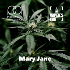 Ароматизатор для самозамеса TPA Mary Jane Марихуана