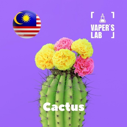 Фото на Ароматизаторы для вейпа Malaysia flavors Cactus