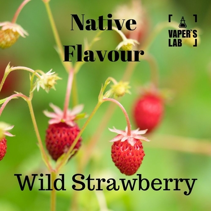 Фото, Відео на жижи Native Flavour Wild Strawberry 100 ml