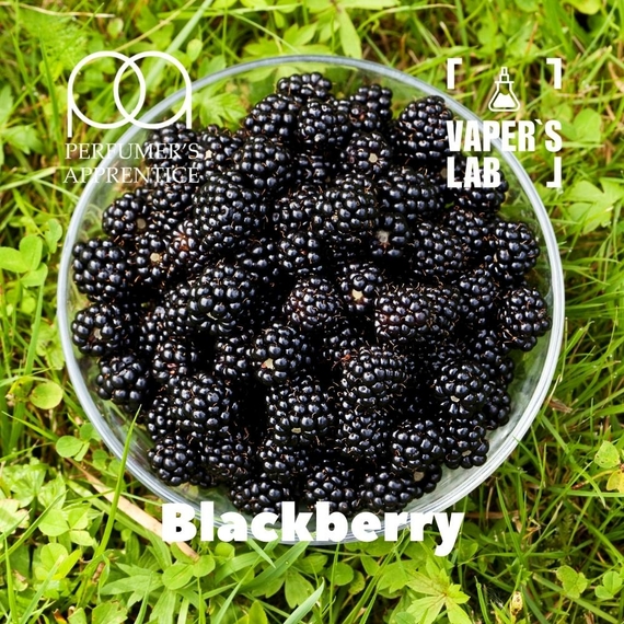 Відгуки на Найкращі харчові ароматизатори TPA "Blackberry" (Ожина) 