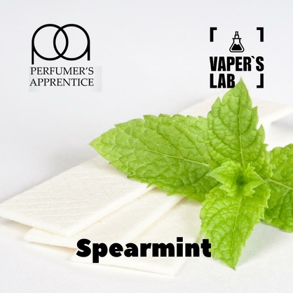 Фото, Відеоогляди на Натуральні ароматизатори для вейпа TPA "Spearmint" (М'ята) 