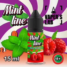 Mint Line Salt Raspberry 15 мл