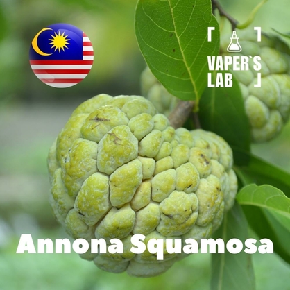 Фото на Ароматизатор для вейпа Malaysia flavors Annona squamosa