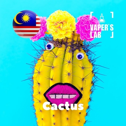 Фото на Ароматизаторы для вейпа Malaysia flavors Cactus