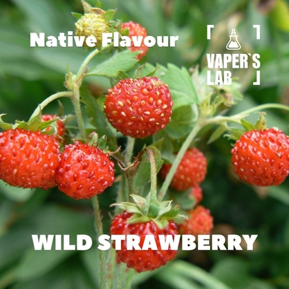 Фото для Аромки Native Flavour Wild Strawberry 30мл