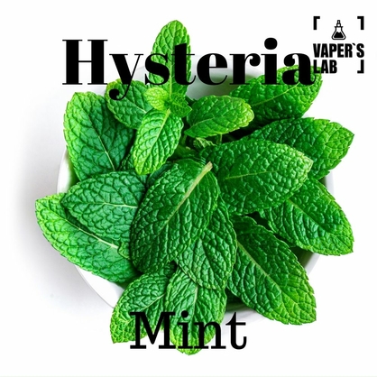 Фото, Відео на жижи без нікотину Hysteria Mint 100 ml