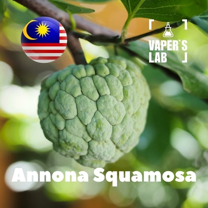 Фото на Ароматизатор для вейпа Malaysia flavors Annona squamosa