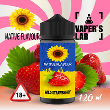 Жидкости для вейпа Native Flavour Wild Strawberry 120