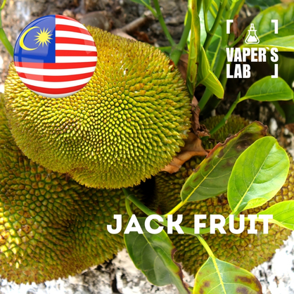 Фото на Ароматизатор для вейпа Malaysia flavors Jack fruit