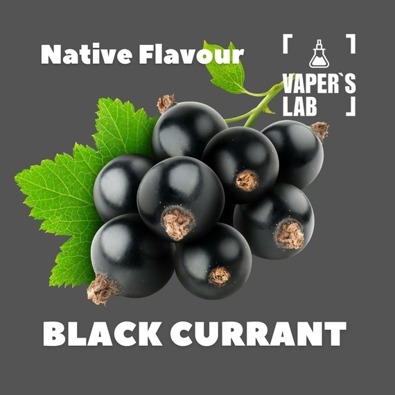 Відгуки на Ароматизатор для самозамісу Native Flavour Black Currant 30мл