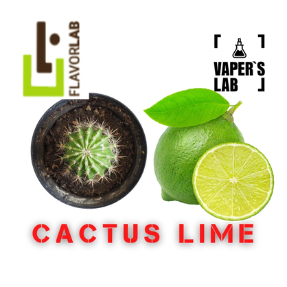 Фото, Відеоогляди на Аромки для вейпа Flavor Lab Cactus Lime 10 мл