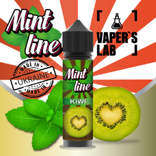 Рідини для електронних сигарет Mint Kiwi 60 ml