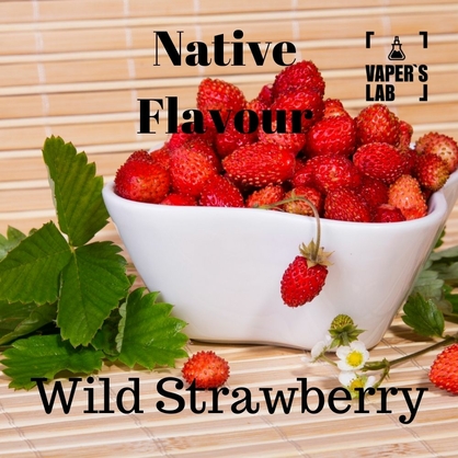 Фото, Видео на Жижи без никотина Native Flavour Wild Strawberry 100 ml