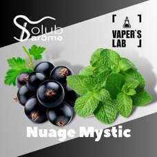  Solub Arome Nuage Mystic Смородина с мятой