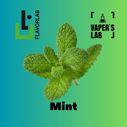 Фото на Аромки  для вейпа Flavor Lab Mint 10 мл